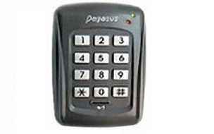 PEGASUS PP85